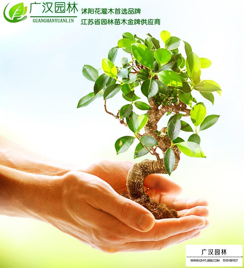 廣漢園林