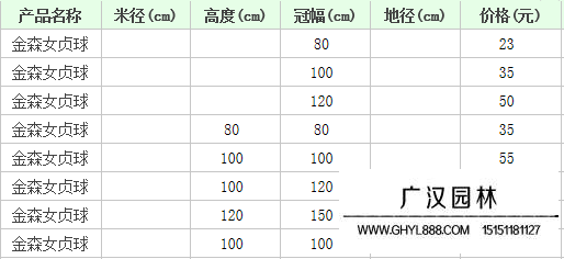金森女貞價格表