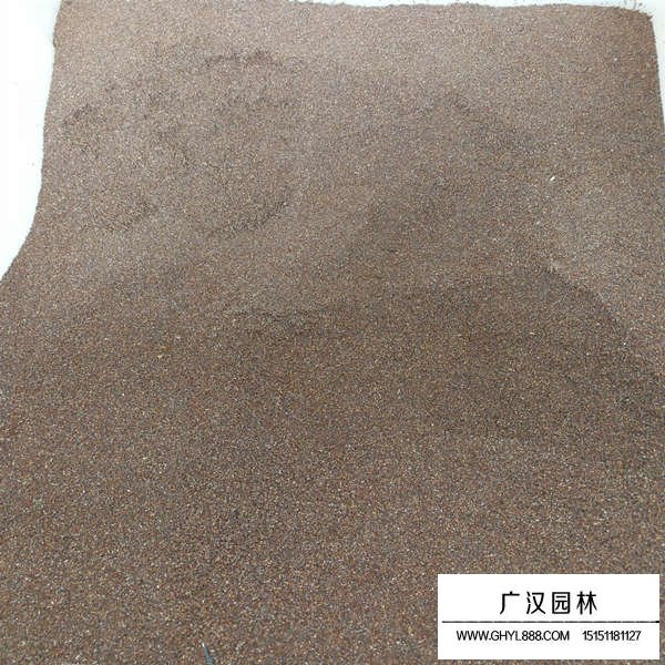 矮牽牛種子(圖2)