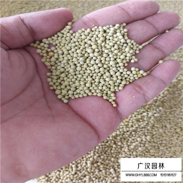 不同檔次白三葉種子的價格(圖2)
