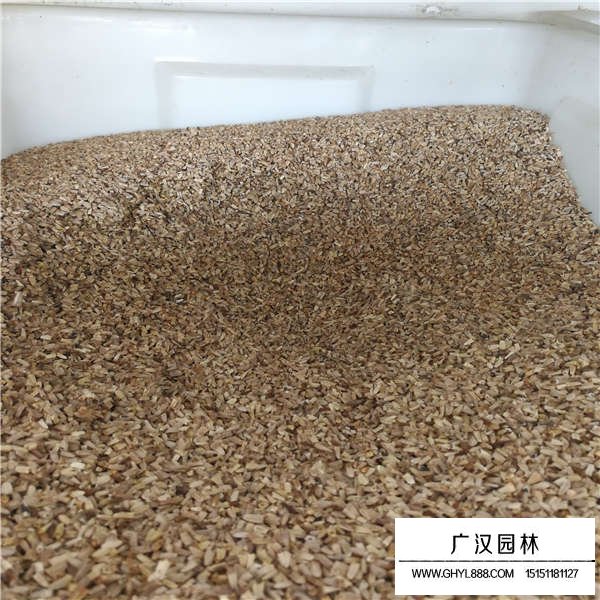 草原松果菊的價值(圖3)