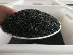大花萱草種子