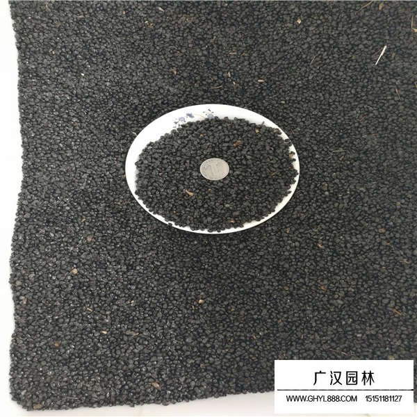 大花萱草種子(圖3)