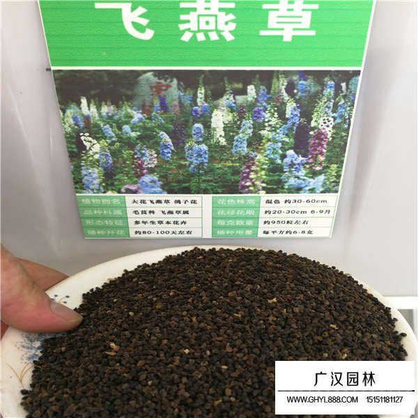 飛燕草種子(圖1)