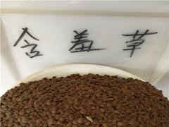 含羞草種子