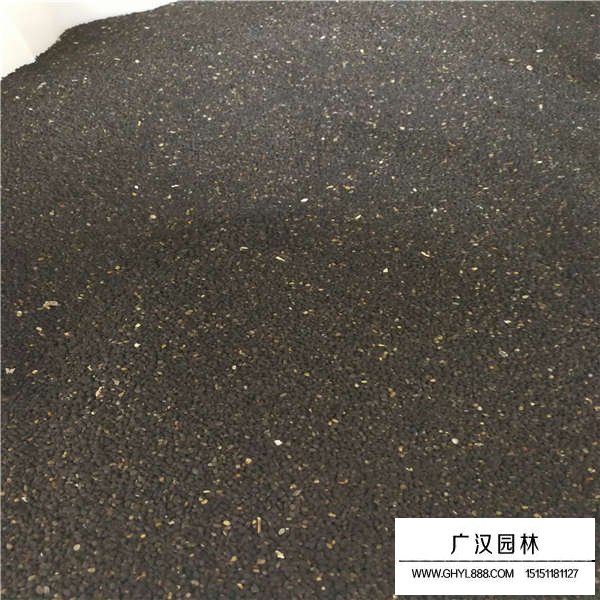 黑種草種子(圖2)