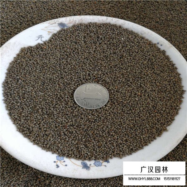 花菱草種子的價格是多少(圖2)