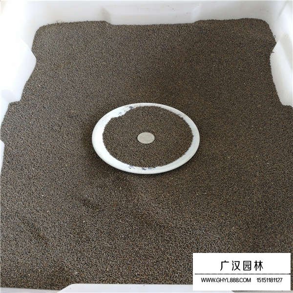 花菱草種子的價格是多少(圖3)