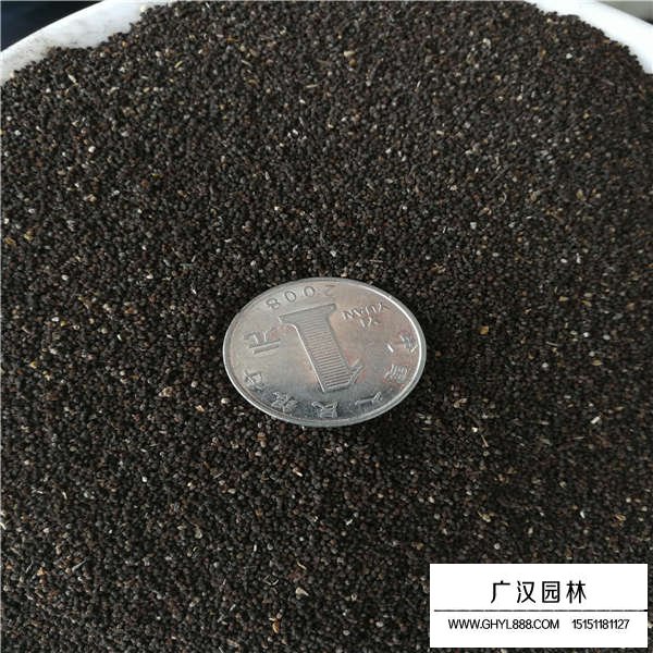 金魚草種子價格是多少(圖3)