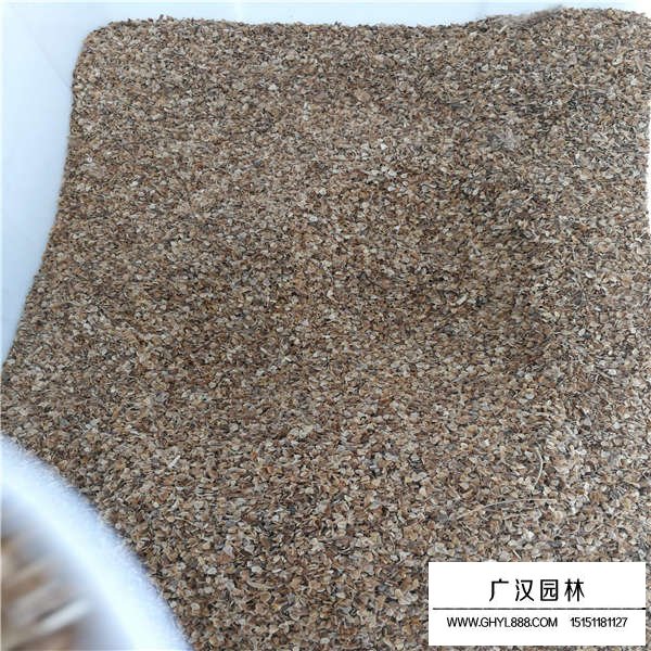 一斤花環菊種子多少錢(圖3)