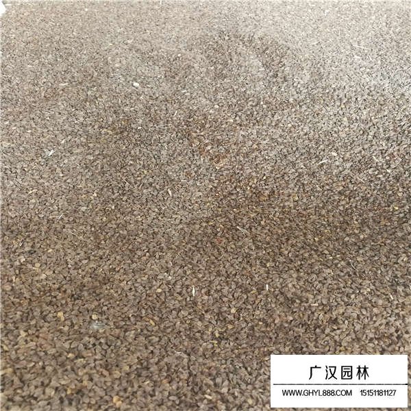 假龍頭種子(圖2)