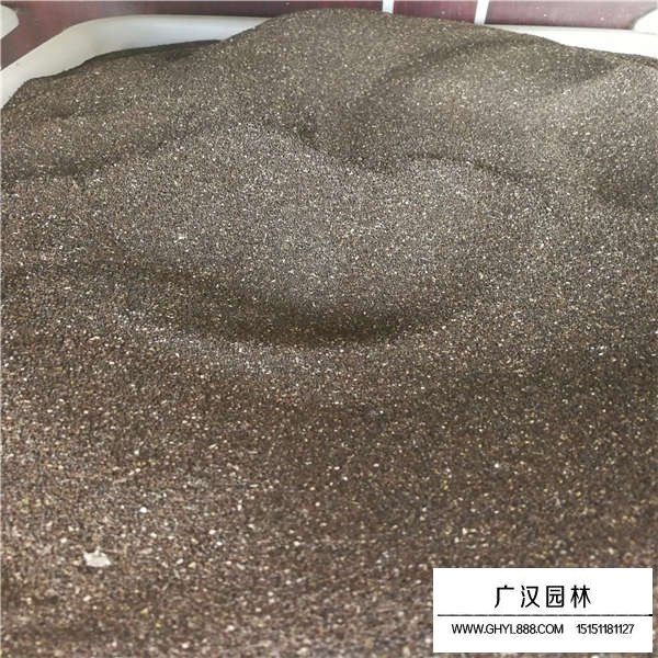 金魚草種子(圖2)
