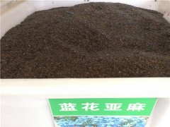 藍花亞麻種子