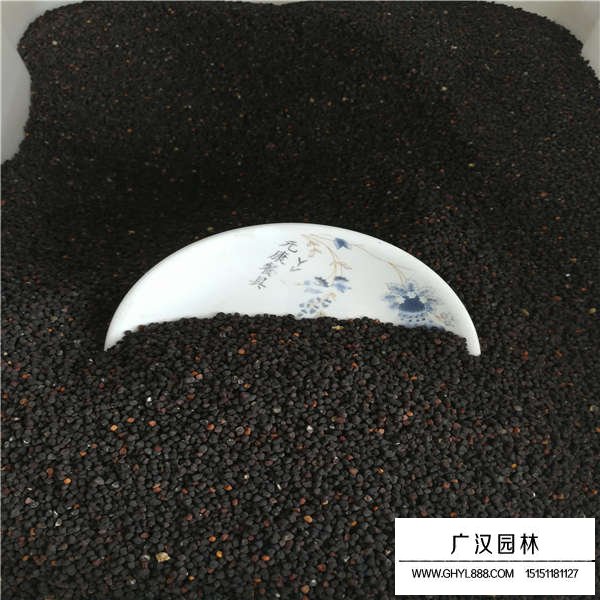麥仙翁種子(圖4)