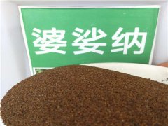 婆娑納種子