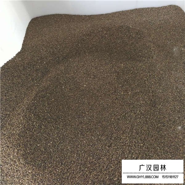 千鳥草種子多少錢一斤(圖3)