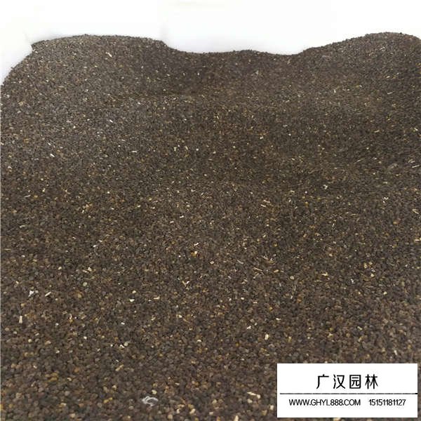 飛燕草種子價格是多少(圖2)