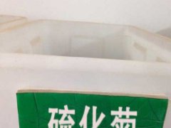 硫華菊種子