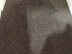 神香草種子