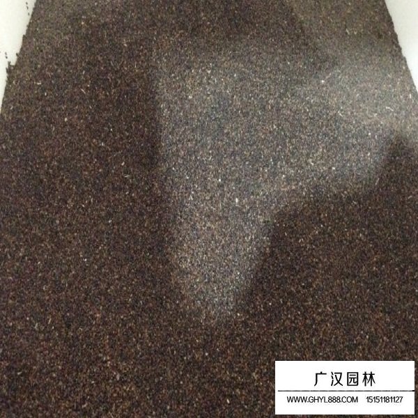 神香草種子(圖1)