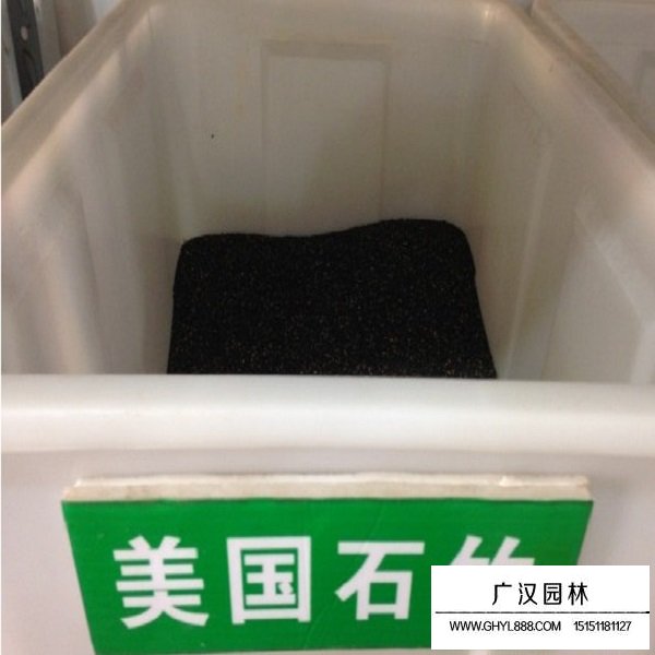 美國石竹種子(圖1)