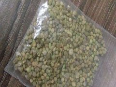 菠菜種子