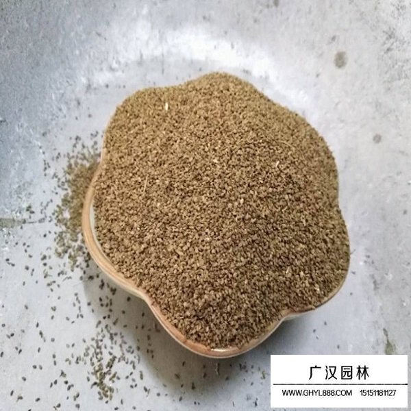 芹菜種子(圖1)