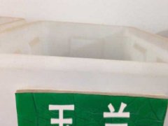 玉蘭種子