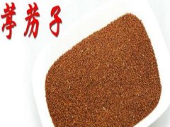 葶藶種子