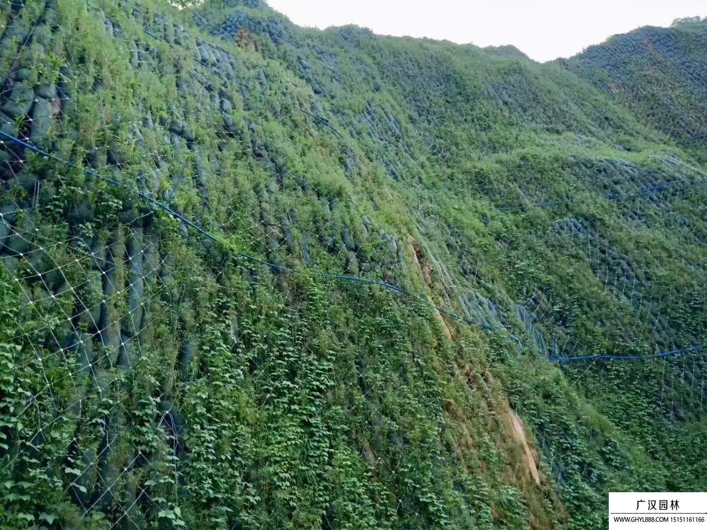 礦山改造 (11).jpg