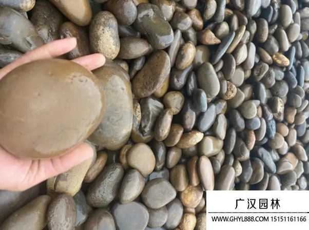 鵝卵石