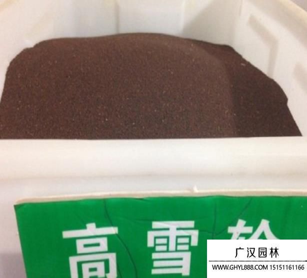 高雪輪種子