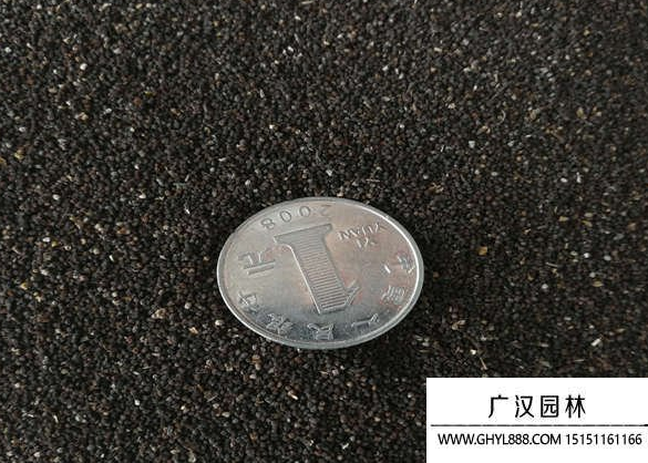 金魚草種子