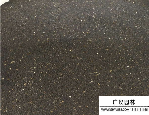黑種草種子