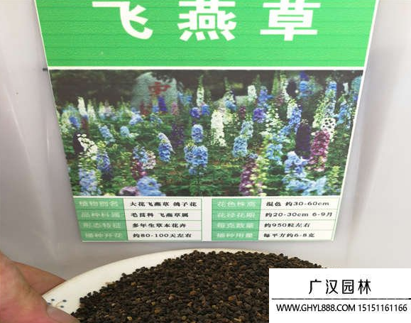 飛燕草種子