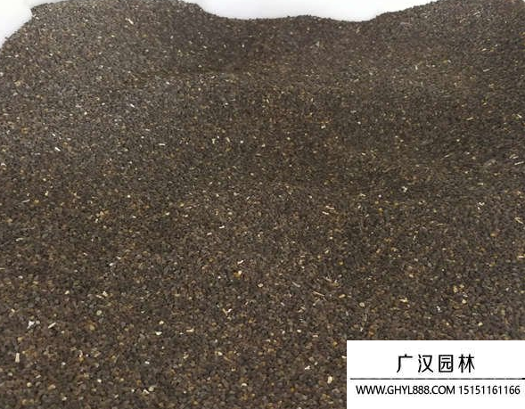 飛燕草種子