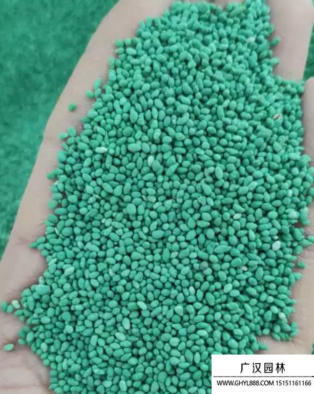 黑麥草包衣種子