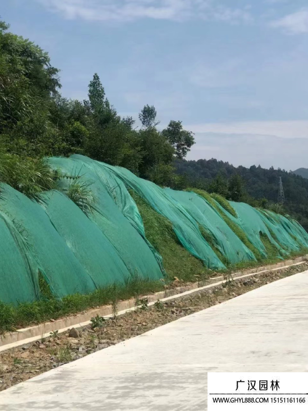 礦山修復的措施