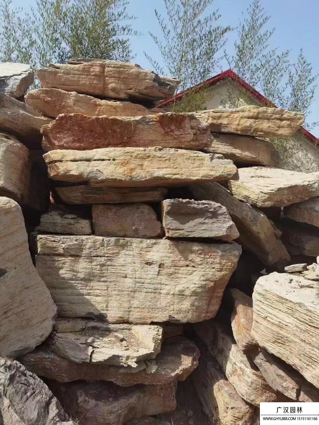 千層石和龜紋石哪個好