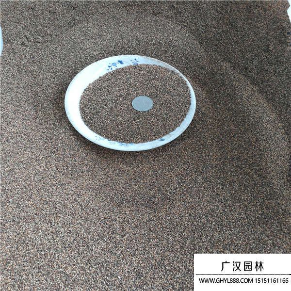 紫花地丁種子