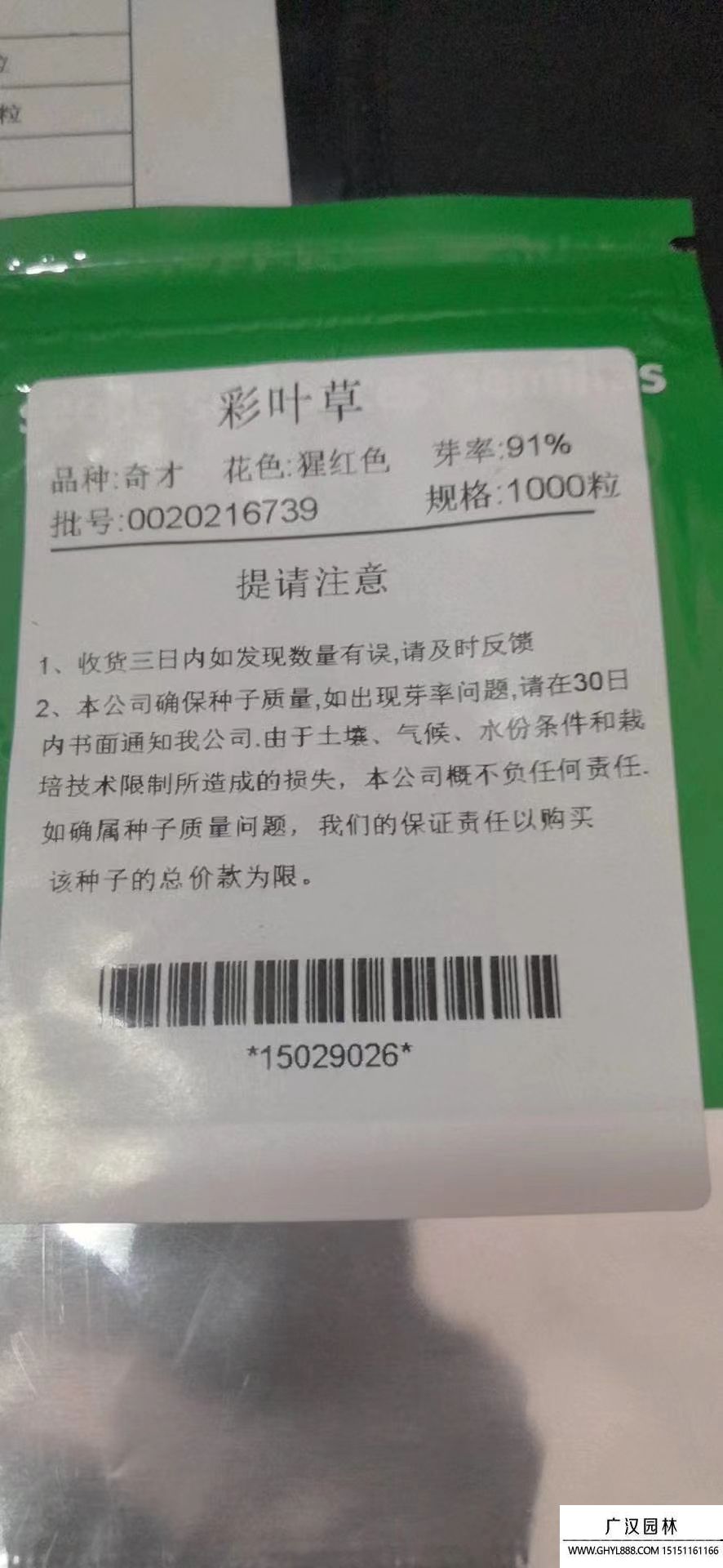 彩葉草種子