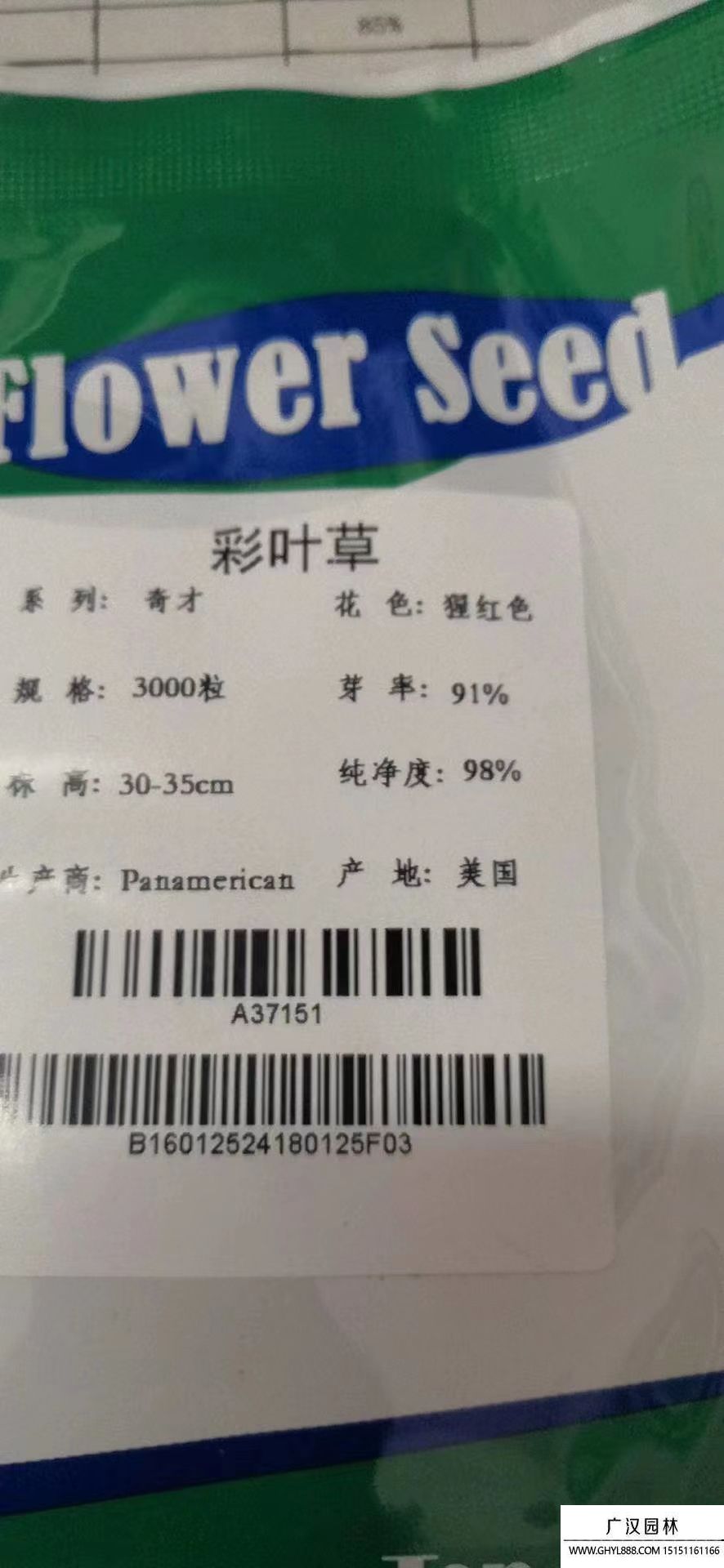 彩葉草種子