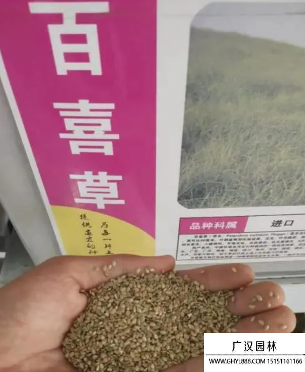 百喜草種子