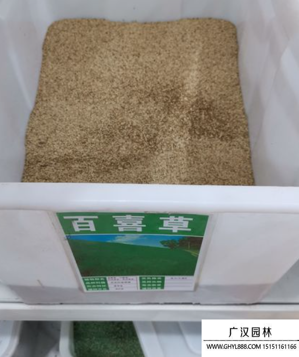百喜草種子