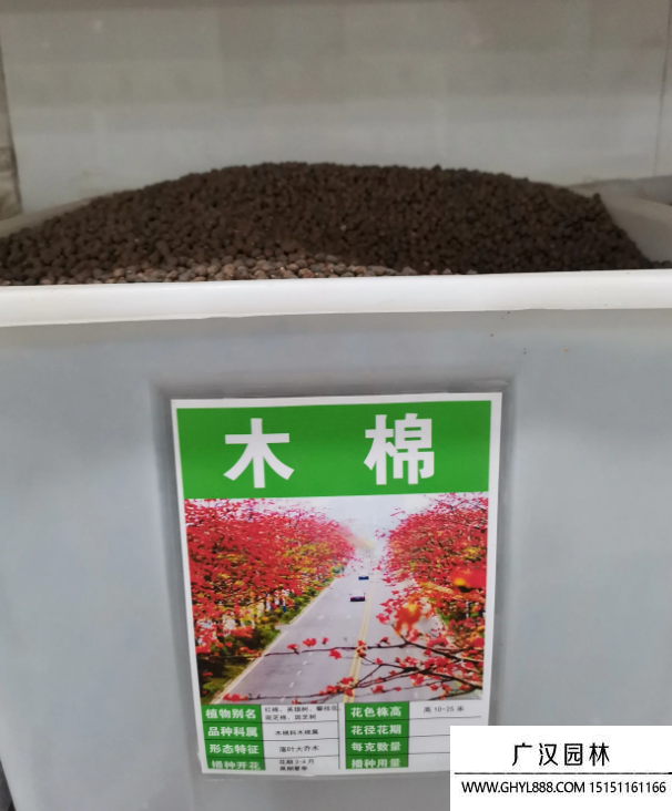 木棉花種子