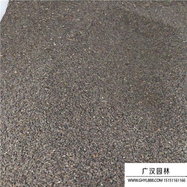 福樂花種子