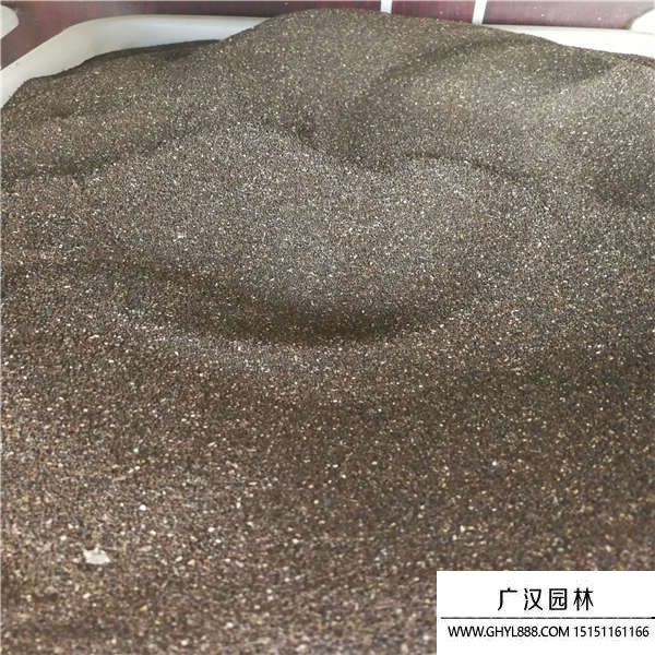 金魚草種子