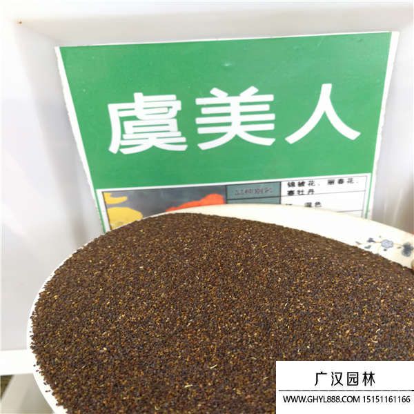 虞美人種子