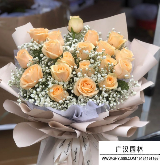 香檳玫瑰