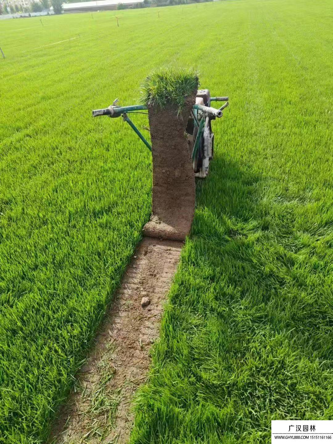 馬尼拉